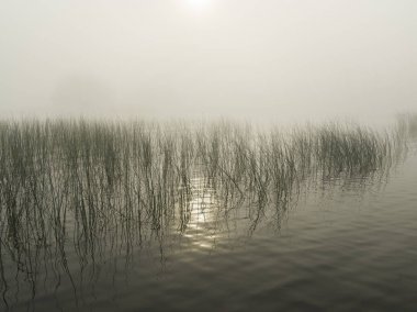 Sazlık göl, Kenora, Lake of The Woods, Ontario, Kanada