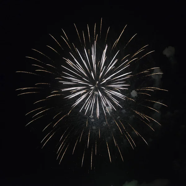 Spettacolo Fuochi Artificio Notte Canada Day Kenora Lake Woods Ontario — Foto Stock