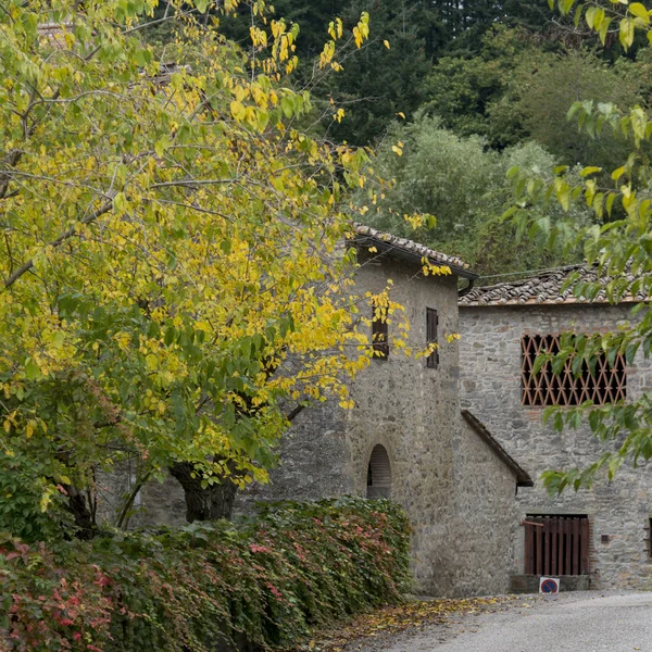 House amidst trees in village, Chianti, Tuscany, Italy