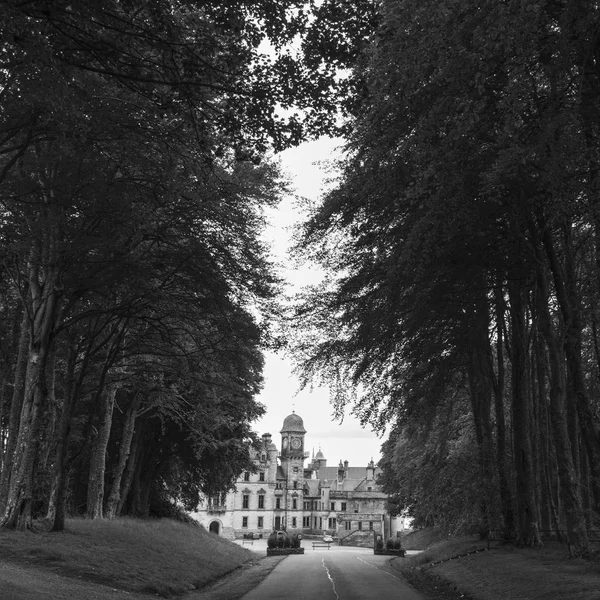 Árboles Largo Carretera Que Conduce Hacia Castillo Dunrobin Golspie Sutherland — Foto de Stock