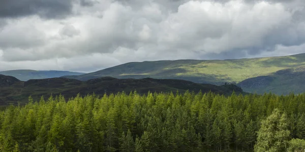 Vacker Utsikt Över Träd Med Bergen Mot Molnig Himmel Skotska — Stockfoto