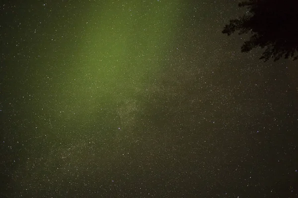 Lake of Woods, Ontario, Kanada içinde gökyüzünde yıldız düşük açılı görünüş