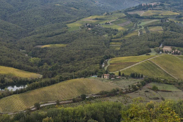 Veduta Aerea Dei Vigneti Della Valle Radda Chianti Toscana Italia — Foto Stock