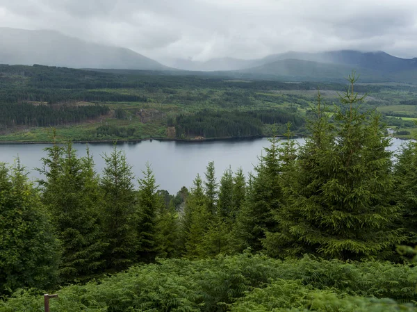 Malowniczy Widok Drzew Wzdłuż Rzeki Szkockich Highlands Szkocja — Zdjęcie stockowe