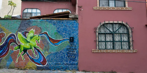 Фреска Стене Дома Гуадалупе Сан Мигель Альенде Гуанахуато Мексика — стоковое фото
