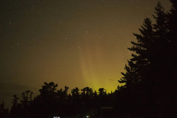 Vista Bajo Ángulo Estrellas Cielo Sobre Lago Los Bosques Ontario — Foto de Stock