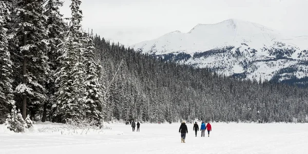 Persone Che Camminano Nella Neve Profonda Lake Louise Banff National — Foto Stock