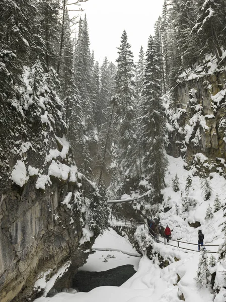 Turistas Caminando Sendero Cubierto Nieve Cañón Johnston Canyon Banff National — Foto de Stock