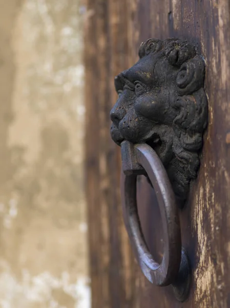 Close Van Antieke Deur Knocker Florence Toscane Italië — Stockfoto