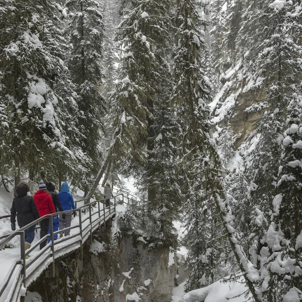 Turistas Caminando Sendero Cubierto Nieve Cañón Johnston Canyon Banff National — Foto de Stock