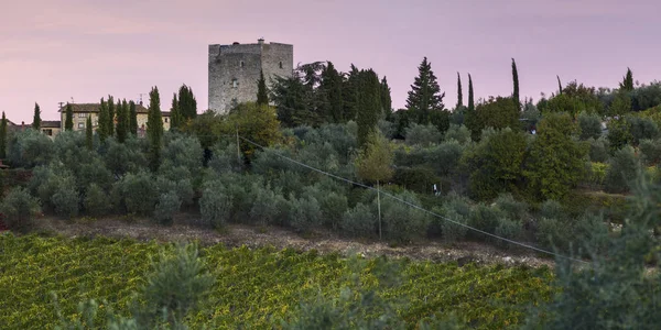 Widok Winnice Dolinie Radda Chianti Toskania Włochy — Zdjęcie stockowe