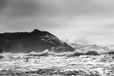 Sahil, Pasifik Kıyısı Milli Parkı rezerv, Estevan, Vancouver Adası, British Columbia, Kanada sıçramasına dalga