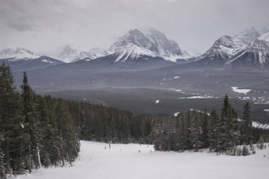 Kayak, insanlar Lake Louise, Banff National Park, Alberta, Kanada