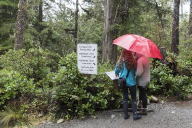 Girls holding an umbrella looking at sign board, Pacific Rim National Park Reserve, Ucluelet, Vancouver Island, British Columbia, Canada clipart