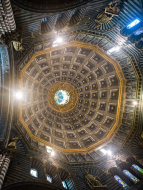 Tavan iç Siena katedralinin, Siena, Toskana, İtalya