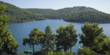 Uzun kıyı şeridi, Yunanistan, ağaçlarının yüksek açılı görünüş