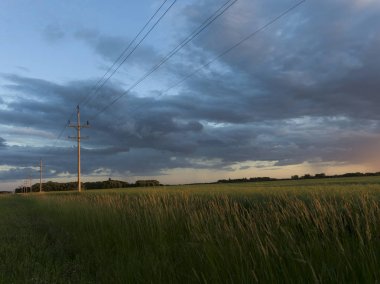 Bulutlu gökyüzü, Lorette, Manitoba, Kanada karşı bir alanda arpa