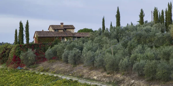 Vista Panorâmica Uma Casa Aldeia Com Vinha Toscana Itália — Fotografia de Stock