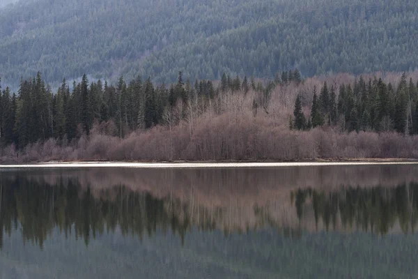 Tallar Reflektera Över Sjö Skog Whistler British Columbia Kanada — Stockfoto