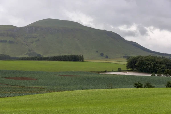 Scenic View Agricultural Fields Valley Strathmiglo Fife Scotland — Stock Photo, Image
