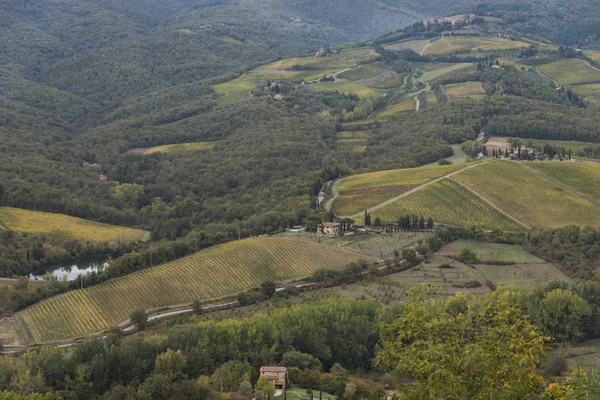 Vista Panoramica Sui Vigneti Gaiole Chianti Toscana Italia — Foto Stock