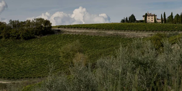 Vista Panorâmica Das Vinhas Gaiole Chianti Toscana Itália — Fotografia de Stock