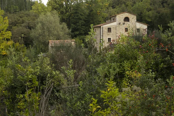 Casa Tra Gli Alberi Paese Chianti Toscana Italia — Foto Stock