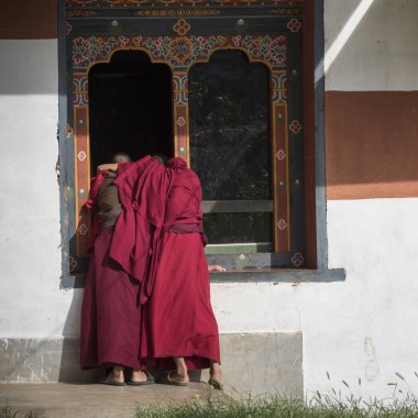 Budist rahipler at Chimi Lhakhang, Punakha, Bhutan