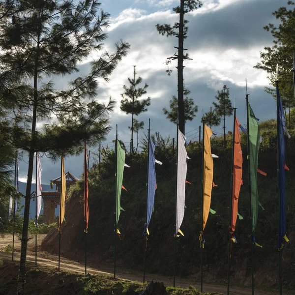 Flagi Modlitewne Poboczu Paro Paro District Dolina Paro Bhutan — Zdjęcie stockowe