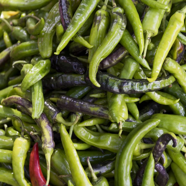 Chiles Verdes Para Venta Mercado Thimphu Bután —  Fotos de Stock