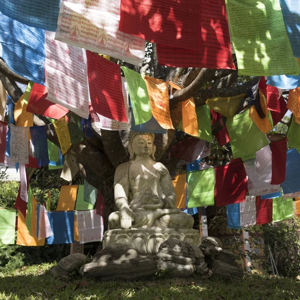 Estátua Buda Cercada Por Bandeiras Oração Khamsum Yulley Namgyal Chorten — Fotografia de Stock