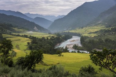 Nehri Vadisi, Punakha, Bhutan alanlarla görünümünü