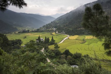 Köyün Vadisi, Punakha, Bhutan içindeki alanlar ile yükseltilmiş görünümü