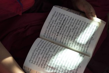 Bir kitap, Paro, Paro District, vadi: Paro, Bhutan okuma bir keşiş Close-Up