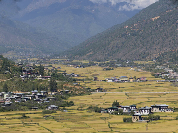 Elevated view of a town, Paro, Paro District, Paro Valley, Bhutan