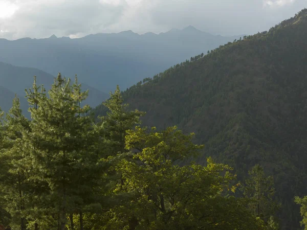 Drzew Gór Tle Paro Paro District Dolina Paro Bhutan — Zdjęcie stockowe