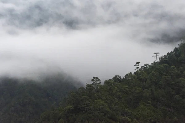 Mist Bergen Punakha Punakha Vallei District Van Punakha Bhutan — Stockfoto