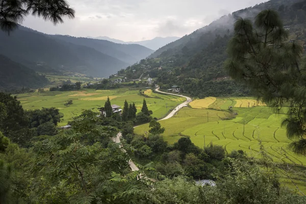 Vista Elevata Del Villaggio Con Campi Valle Punakha Bhutan — Foto Stock