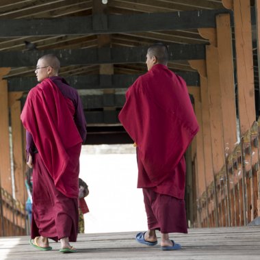 Budist rahipler at Punakha Dzong, Punakha, Punakha Vadisi, Punakha District, Bhutan