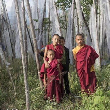 Budist rahipler, Chimi Lhakhang, Punakha, Bhutan