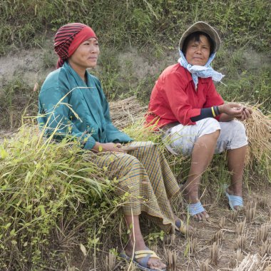 Alan, Punakha, Bhutan oturan iki kadın