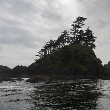 Ağaçların kenarı, Skeena-Kraliçe Charlotte bölge bölge, Graham Adası, British Columbia, Kanada HIPPA Adası, Haida Gwaii görünümünü