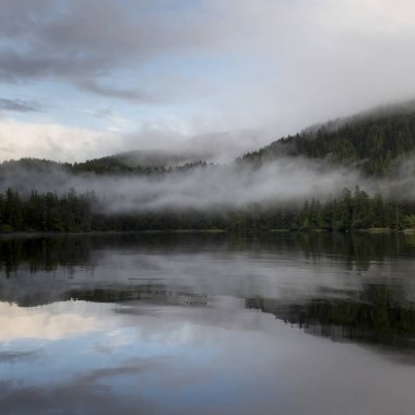 Deniz manzarası, Skeena-Kraliçe Charlotte bölge bölge, Haida Gwaii, Graham Adası, British Columbia, Kanada görünümünü