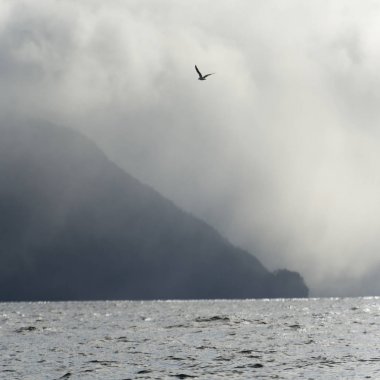 Deniz manzarası, Skeena-Kraliçe Charlotte bölge bölge, Graham Adası, British Columbia, Kanada HIPPA Adası, Haida Gwaii görünümünü