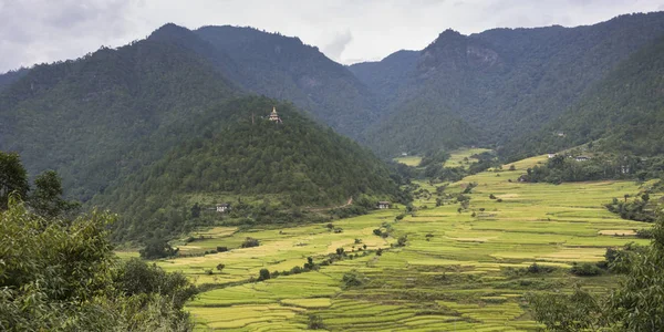 Vista Elevata Del Campo Terrazzato Punakha Punakha Valley Punakha District — Foto Stock