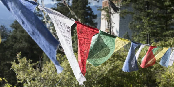 Drapeaux Prière Bouddhistes Paro Bhoutan — Photo