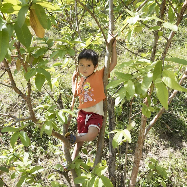 Portrait Boy Tree Punakha Bhutan — Stock Photo, Image