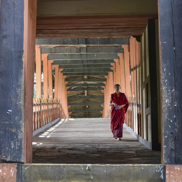 Monge Budista Punakha Dzong Punakha Punakha Valley Punakha District Butão — Fotografia de Stock