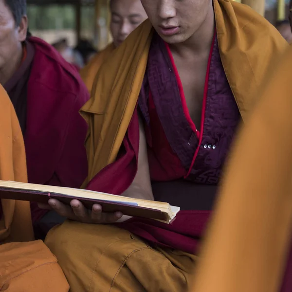 Mnich Buddyjski Czytanie Książki Paro Bhutan — Zdjęcie stockowe