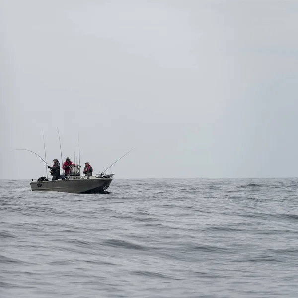 Nézd Egy Csónakban Halászok Skeena Queen Charlotte Regionális Kerületi Hippa — Stock Fotó